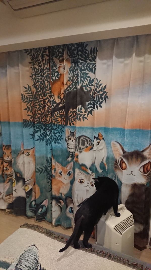 WCC貓大會窗簾 