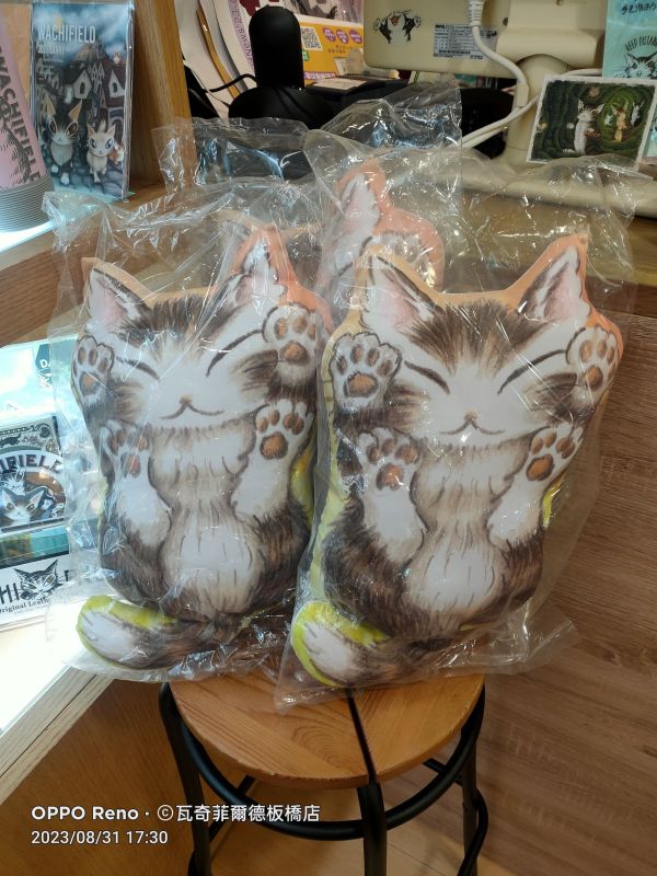 贈品-抱枕-感謝季 