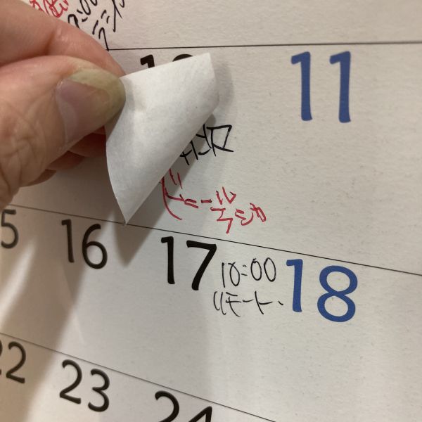 彩色便箋紙-貓會議 