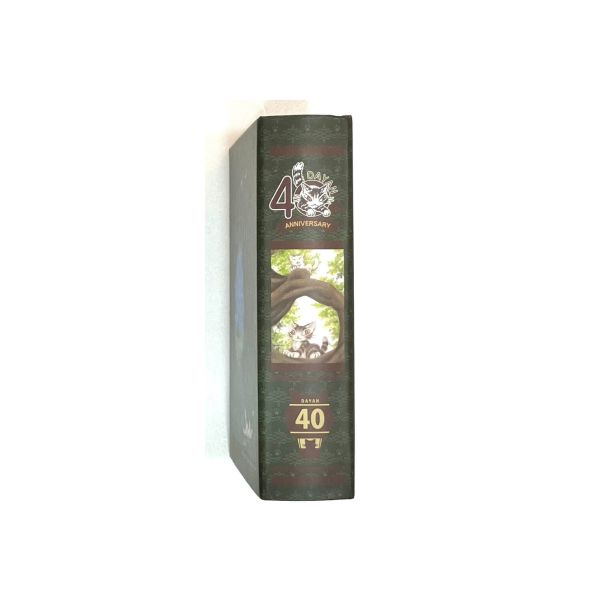盒裝便條紙-森林小貓 