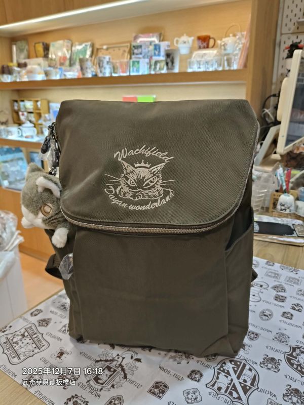 DC#17流行休閒後背包 