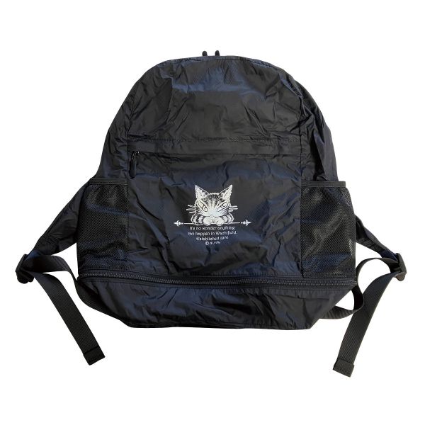 迷你小背包裡的可伸展後背包 