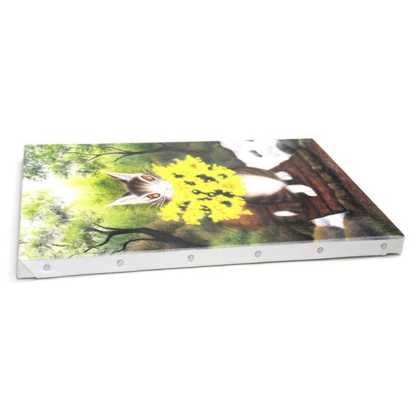 帆布畫-相思木花 