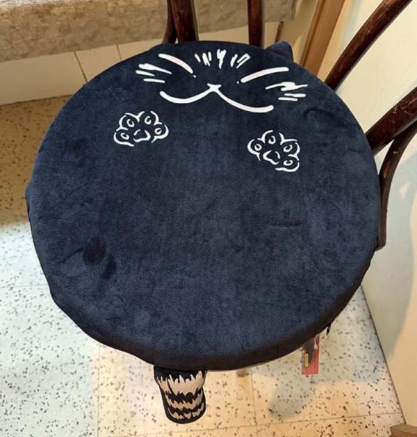 毛絨絨暖暖座墊 