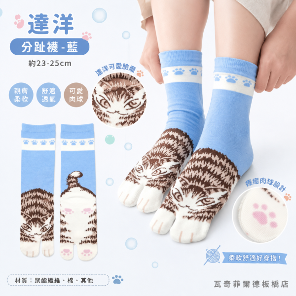 達洋分趾襪-藍 
