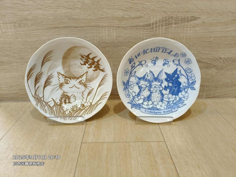 贈品-大圓盤 