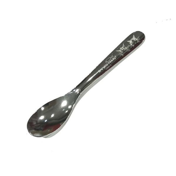 曲線不鏽鋼-茶匙 