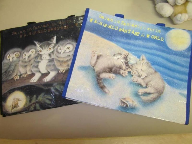 贈品-PP購物袋 