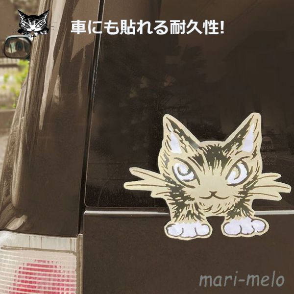 汽車貼紙(防水)-達洋正面 