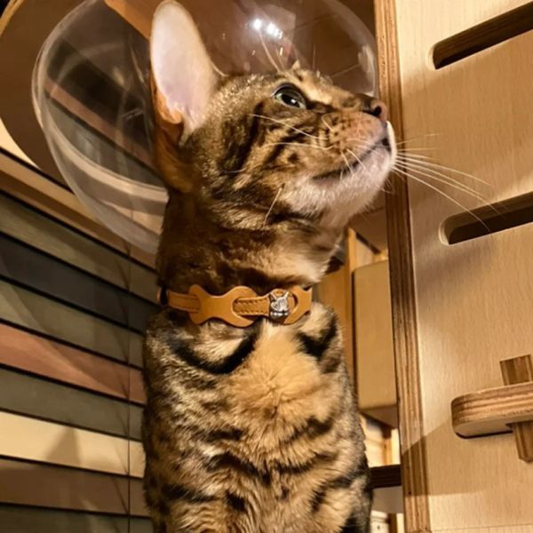 皮革環狀貓項圈-駝 