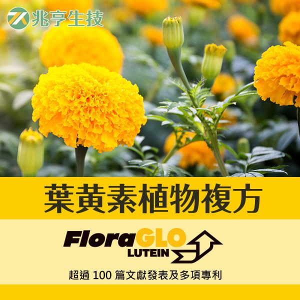 葉黃素植物複方膠囊 藍莓萃取,FloraGlo,游離型葉黃素,金盞花,王米黃素,透明質酸納,酵母鋅,保健品批發