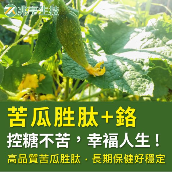 苦瓜胜肽複方膠囊 苦瓜胜肽,洋蔥萃取,桑葉萃取,肉桂萃取,武靴葉,酵母鉻,保健品批發
