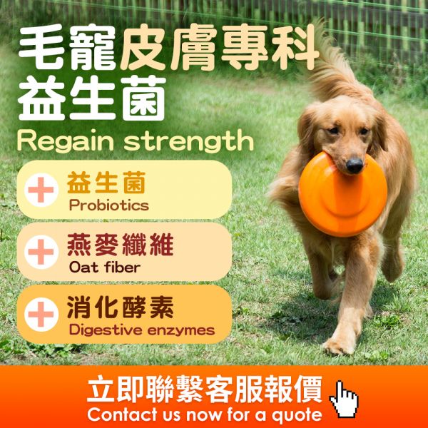 毛寵皮膚專科益生菌(粉包) 海外代工,台灣保健食品代工,OEM,ODM,台灣保健食品代工廠,保健食品少量代工,台中保健食品代工,保健品oem,寵物保健食品代工,保健食品代工費用,保健品代工廠,酵素代工,軟糖代工,珍珠粉代工,果凍代工,Overseas OEM, Taiwan health food OEM, OEM, ODM, Taiwan health food OEM, a small amount of health