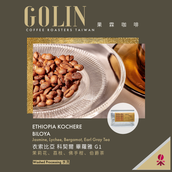 衣索比亞 科契爾 畢蘿雅 G1 水洗 The art Blending for Espresso Roasting 義大利咖啡烘焙師、莊園精品咖啡豆專賣、義式莊園精品配方豆專賣、特色精品配方咖啡豆、客製化莊園精品咖啡豆、莊園精品咖啡豆大量批發販售、企業商業合作。