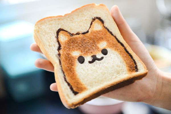 柴犬吐司 