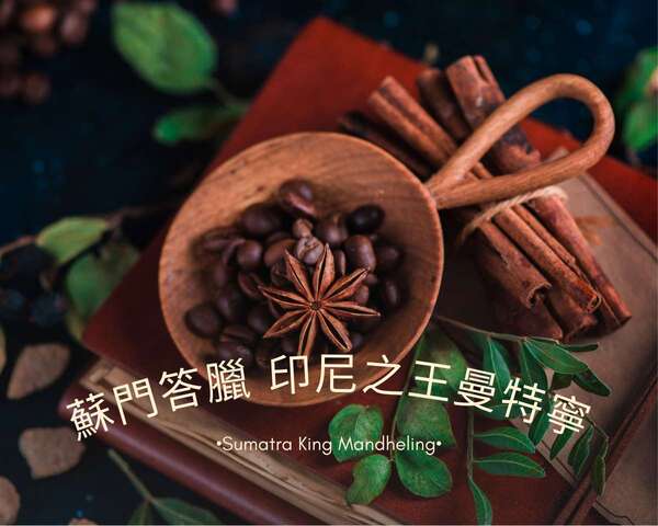 蘇門答臘 印尼之王曼特寧/中深焙/溼剝法 