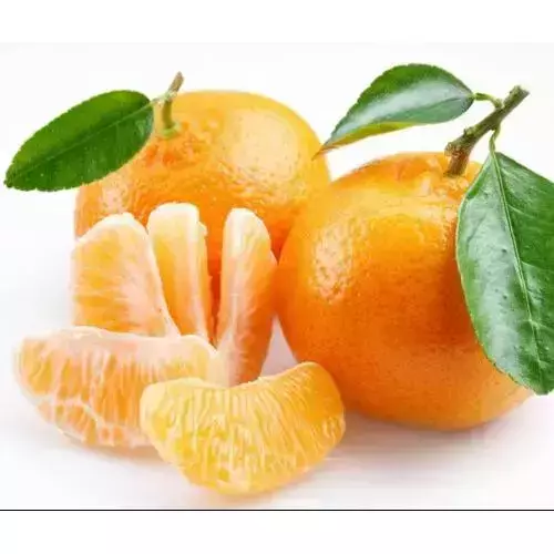 碧蘿村農場有機桶柑700g 