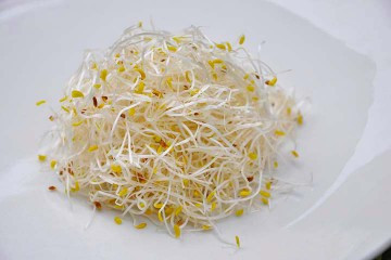 碧蘿村葫蘆巴豆芽 