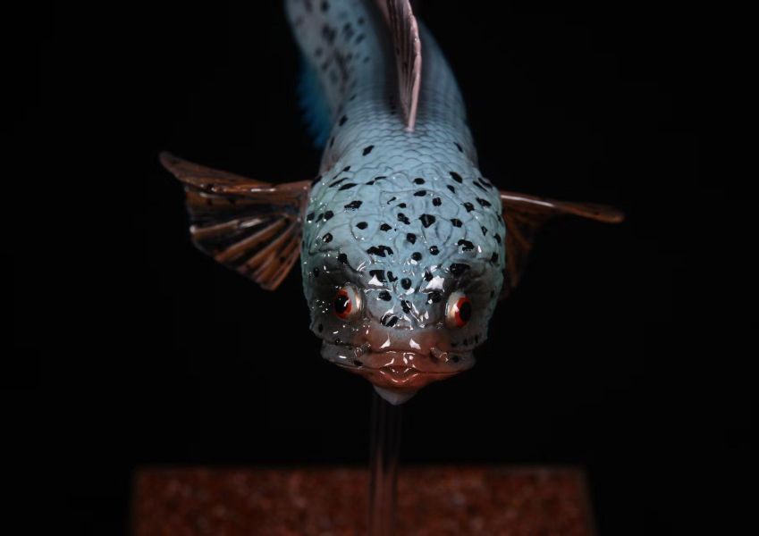 【史派克工廠】預購免運26年6月 三合一創 淡水觀賞魚系列 巴卡雷龍 0601 三合一創 淡水觀賞魚系列 巴卡雷龍