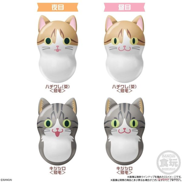【史派克工廠】結單預購25年2月 萬代 BANDAI 食玩 COONYAT 貓咪 花生不倒翁2 中盒14入 1002 萬代 BANDAI 食玩 COONYAT 貓咪 花生不倒翁2 中盒14入