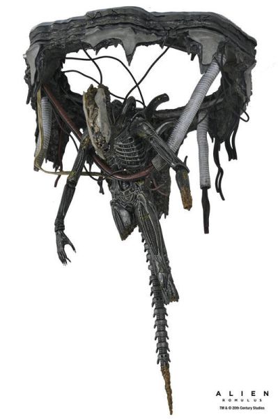 【史派克工廠】結單25年6月 NECA 7吋 異形 羅穆路斯 Xenomorph XX121 實驗室懸吊版 0509 NECA 7吋 異形 羅穆路斯 Xenomorph XX121 實驗室懸吊版