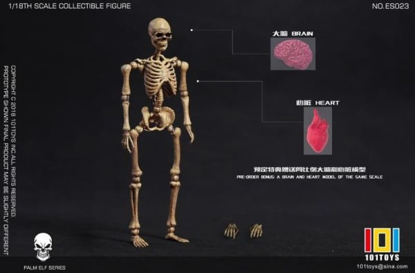 【史派克工廠】預購免運26年Q1 101TOYS 1/18 MINI骷髏骨架素體 共5款 1224 101TOYS 1/18 MINI骷髏骨架素體 共5款