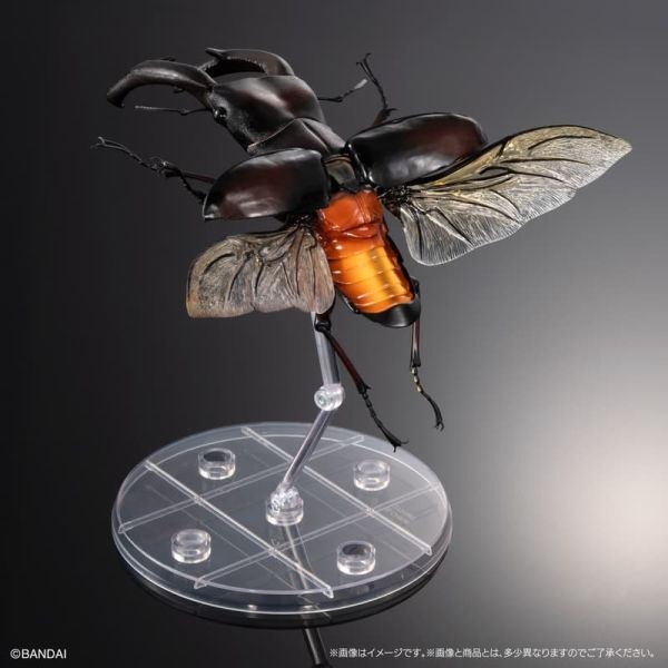 【史派克工廠】預購26年3月 代理版 萬代 限定 扭蛋袋裝 生物大圖鑑PREMIUM 巨顎叉角鍬形蟲 紅 0105 代理版 萬代 限定 扭蛋袋裝 生物大圖鑑PREMIUM 巨顎叉角鍬形蟲 紅