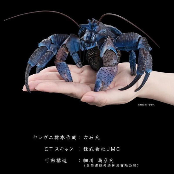 【史派克工廠】結單 預購免運23年10月 代理版 盒玩 魂商店 生物大圖鑑Premium 椰子蟹 0711 盒玩 魂商店 生物大圖鑑Premium 椰子蟹