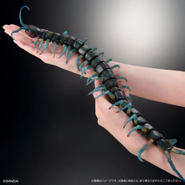 【史派克工廠】預購免運26年2月 萬代 GASHAPON 扭蛋 生物大圖鑑 Ultimate 琉神蜈蚣 青龍 1202 萬代 GASHAPON 扭蛋 生物大圖鑑 Ultimate 琉神蜈蚣 青龍