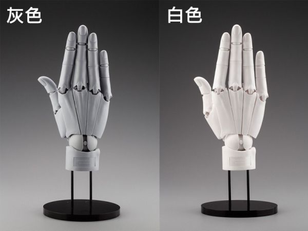 【史派克工廠】 結單25年9月 加加美高浩x壽屋 A.S.I 終極手部模型 灰色 白色 兩款可選 右手 0428 加加美高浩 × 壽屋 A.S.I 終極手部模型 灰色 白色 兩款可選