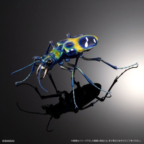 【史派克工廠】結單25年5月 代理版 扭蛋袋裝 生物大圖鑑 長牙大天牛 日本虎甲蟲 附支架 全4種 0312 代理版 扭蛋袋裝 生物大圖鑑 長牙大天牛 日本虎甲蟲 附支架 全4種