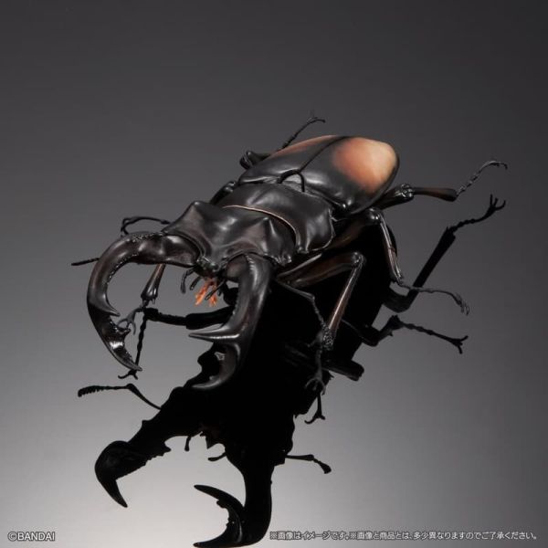 【史派克工廠】結單25年10月 萬代 扭蛋 生物大圖鑑 鍬形蟲02 一套4款 附樹皮底座(中) 0811 萬代 扭蛋 生物大圖鑑 鍬形蟲02 一套4款 附樹皮底座(中)