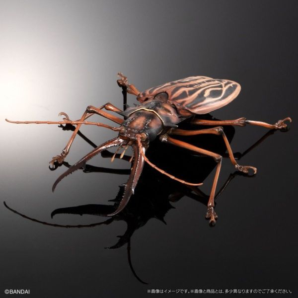 【史派克工廠】結單25年5月 代理版 扭蛋袋裝 生物大圖鑑 長牙大天牛 日本虎甲蟲 附支架 全4種 0312 代理版 扭蛋袋裝 生物大圖鑑 長牙大天牛 日本虎甲蟲 附支架 全4種