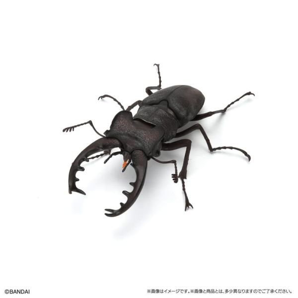 【史派克工廠】預購免運26年1月 萬代 扭蛋 生物大圖鑑生物大圖鑑 鍬形蟲11 附樹皮底座 一套5入 5款 1031 萬代 扭蛋 生物大圖鑑生物大圖鑑 鍬形蟲11 附樹皮底座 一套5入 5款