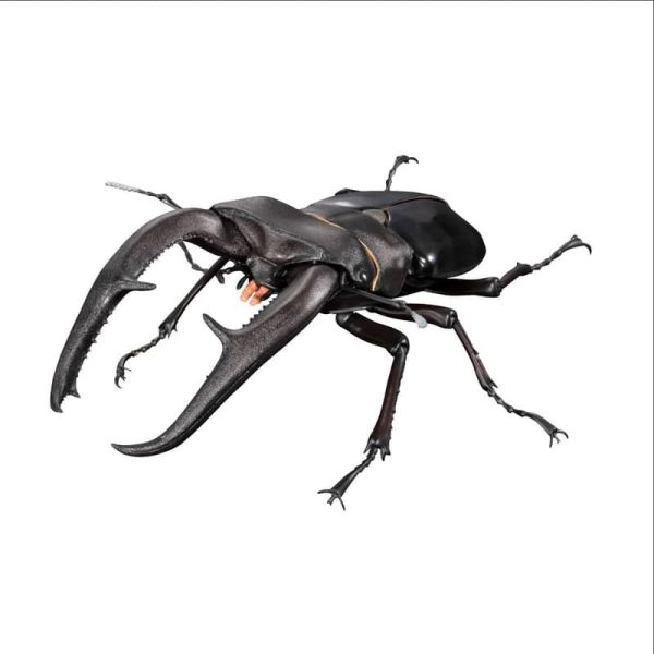 【史派克工廠】預購26年3月 代理版 萬代 限定 扭蛋袋裝 生物大圖鑑PREMIUM 巨顎叉角鍬形蟲 黑 0105 代理版 萬代 限定 扭蛋袋裝 生物大圖鑑PREMIUM 巨顎叉角鍬形蟲