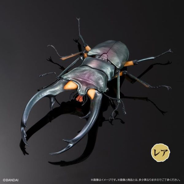 【史派克工廠】結單25年10月 萬代 扭蛋 生物大圖鑑 鍬形蟲02 一套4款 附樹皮底座(中) 0811 萬代 扭蛋 生物大圖鑑 鍬形蟲02 一套4款 附樹皮底座(中)