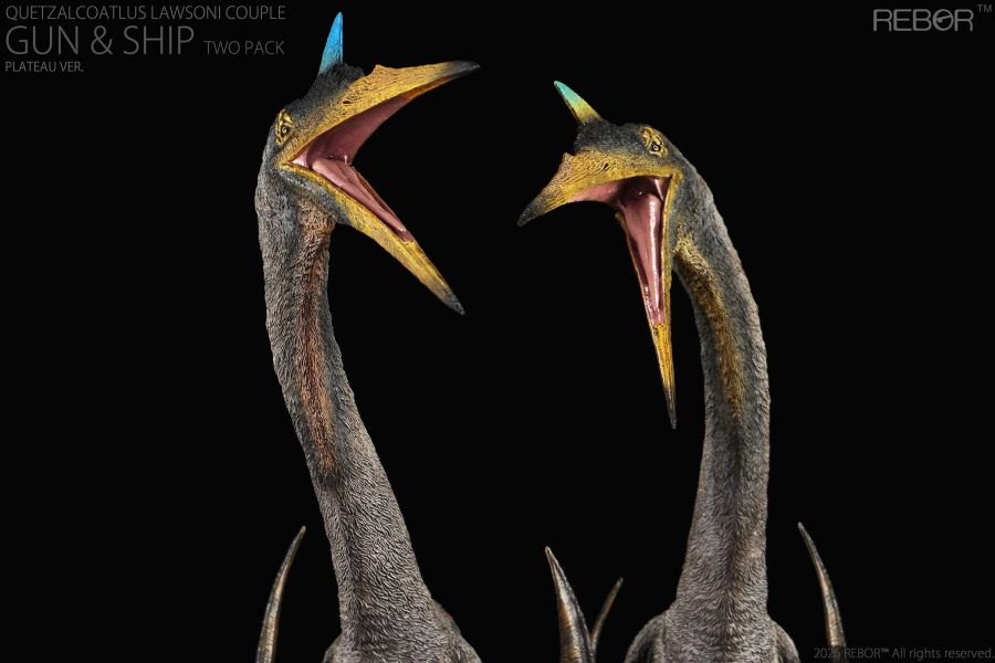 【史派克工廠】結單免運26年Q2 REBOR 不可動 諾氏風神翼龍兄弟 勞氏風神翼龍夫妻 1/12 0212 REBOR 不可動 諾氏風神翼龍兄弟 勞氏風神翼龍夫妻 1/12