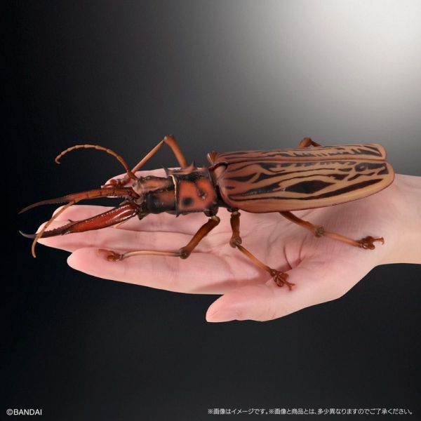 【史派克工廠】結單25年5月 代理版 扭蛋袋裝 生物大圖鑑 長牙大天牛 日本虎甲蟲 附支架 全4種 0312 代理版 扭蛋袋裝 生物大圖鑑 長牙大天牛 日本虎甲蟲 附支架 全4種