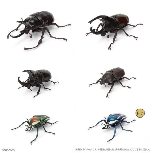 【史派克工廠】預購免運26年7月 萬代 扭蛋袋裝 生物大圖鑑 獨角仙11 附樹皮台座(小) 6款一套 0511 萬代 扭蛋袋裝 生物大圖鑑 獨角仙11 附樹皮台座(小) 6款一套