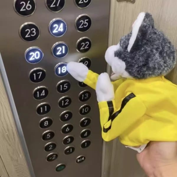 【史派克工廠】結單預購免運24年9月 拳擊 哈士奇 李小犬 互動手偶 0820 拳擊 哈士奇 李小犬 互動手偶