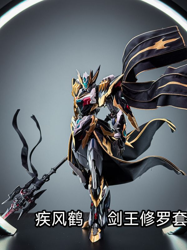 【史派克工廠】預購免運26年Q1 疾風鶴 摩動核干將披風 劍王修羅套 燙金印花布藝改件 不含模型 1127 疾風鶴 摩動核干將披風 劍王修羅套 燙金印花布藝改件 不含模型