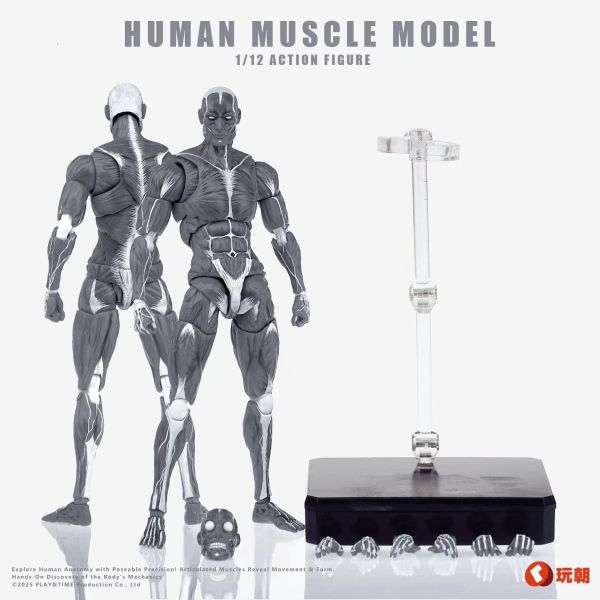 【史派克工廠】結單免運Q3 玩朝玩具 Human Muscle Model 1/12 肌肉素體 超可動人偶 0718 玩朝玩具 Human Muscle Model 1/12 肌肉素體 超可動人偶