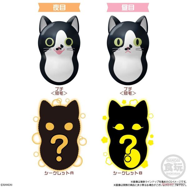 【史派克工廠】結單預購25年2月 萬代 BANDAI 食玩 COONYAT 貓咪 花生不倒翁2 中盒14入 1002 萬代 BANDAI 食玩 COONYAT 貓咪 花生不倒翁2 中盒14入