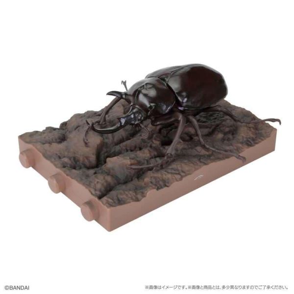 【史派克工廠】預購免運26年7月 萬代 扭蛋袋裝 生物大圖鑑 獨角仙11 附樹皮台座(小) 6款一套 0511 萬代 扭蛋袋裝 生物大圖鑑 獨角仙11 附樹皮台座(小) 6款一套