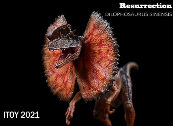 【史派克工廠】結單預購免運24年8月 ITOY 雙脊龍 雙棘龍 雙冠龍 張開褶傘造型 0730 ITOY 雙脊龍 雙棘龍 雙冠龍 張開褶傘造型