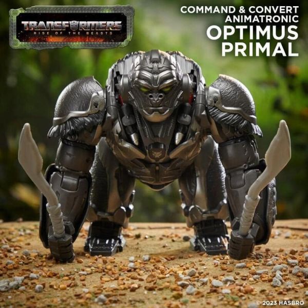 【史派克工廠】結單 預購23年7月 孩之寶 變形金剛 電影 萬獸崛起 電子互動 金剛王 0704 孩之寶 變形金剛 電影 萬獸崛起 電子互動 金剛王