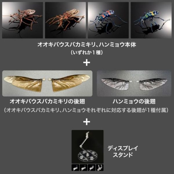 【史派克工廠】結單25年5月 代理版 扭蛋袋裝 生物大圖鑑 長牙大天牛 日本虎甲蟲 附支架 全4種 0312 代理版 扭蛋袋裝 生物大圖鑑 長牙大天牛 日本虎甲蟲 附支架 全4種