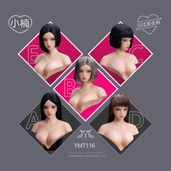 【史派克工廠】預購免運25年Q4 YMTOYS 1/6 可動眼亞洲女頭雕 小楠 YMT116ABCDE 共5款 0527 YMTOYS 1/6 可動眼亞洲女頭雕 小楠 YMT116ABCDE 共5款