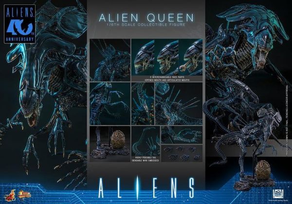 【史派克工廠 】結單 免運28年Q1 HOT TOYS MMS903 異形2 異形皇后 訂 0820 HOT TOYS MMS903 異形2 異形皇后 訂