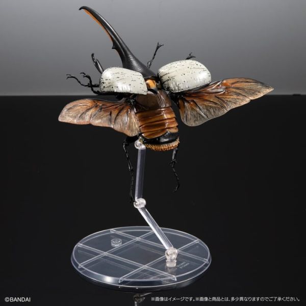 【史派克工廠】結單 預購24年7月 萬代 生物大圖鑑 premium 赫克力士長戟大兜蟲 19cm 0425 萬代 生物大圖鑑 premium 赫克力士長戟大兜蟲 19cm